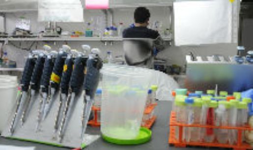 El Programa de Doctorado en Ciencias Biomédicas abre sus postulaciones 2022