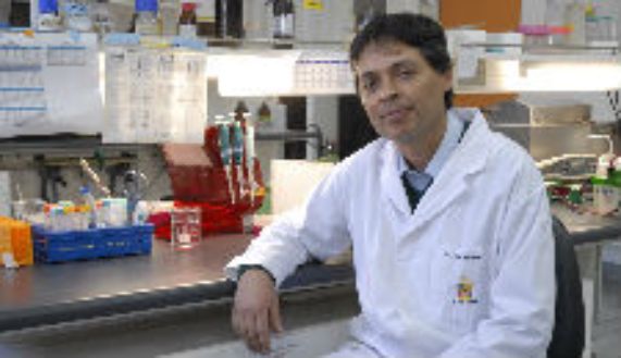 Doctor Luis Michea