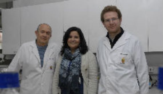El doctor Martín Gotteland junto a los doctores Paola Navarrete, del Inta, y Fabien Magne, del Programa de Microbiología del ICBM, coautores del estudio.  