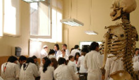 El objetivo del proyecto es ofrecer la oportunidad de conocer el acervo cultural del Museo de Anatomía a los estudiantes del Programa Pace