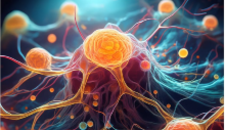El proyecto Fondef 2025 “LacApta supresor de recurrencia tumoral y metástasis, estrategia farmacogénica biosegura neoadyuvante e intraoperatoria en cáncer de mama”, apunta a lograr que un nuevo aptámero se desarrolle como un biofármaco captador y bloqueador de Lactadherina, proteína que tiene un rol importante en la progresión del cáncer de mama.