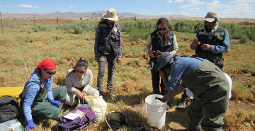 U de Chile anuncia proyectos ganadores del Fondo Valentín Letelier 2025