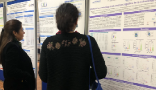 La V Jornada CICA convocó la exposición de investigaciones básico clínicas en formato oral y poster