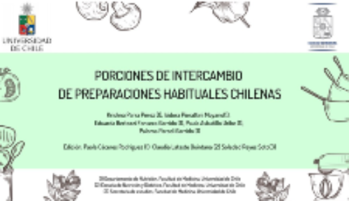 Porciones de Intercambio de Preparaciones Habituales Chilenas