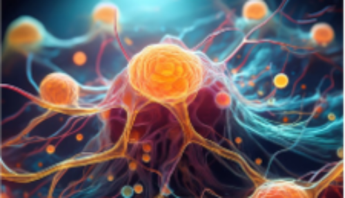 El proyecto Fondef 2025 “LacApta supresor de recurrencia tumoral y metástasis, estrategia farmacogénica biosegura neoadyuvante e intraoperatoria en cáncer de mama”, apunta a lograr que un nuevo aptámero se desarrolle como un biofármaco captador y bloqueador de Lactadherina, proteína que tiene un rol importante en la progresión del cáncer de mama.