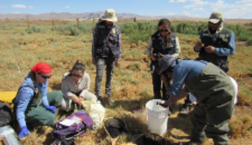 Este año la convocatoria estuvo marcada por los 15 años de historia del Fondo Concursable Valentín Letelier de la Vicerrectoría de Extensión y Comunicaciones.