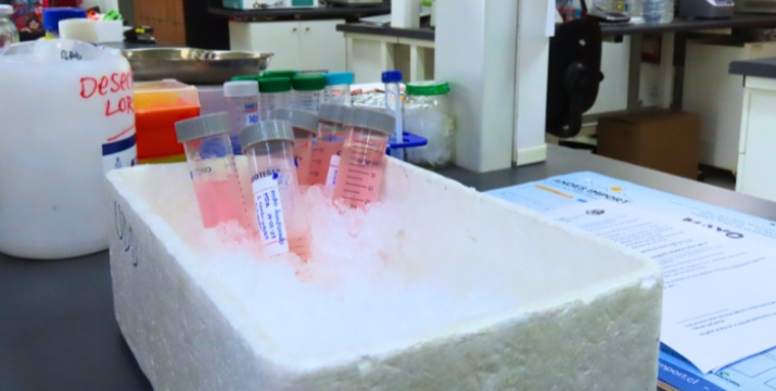 Conexión entre obesidad y cáncer: Una nueva perspectiva molecular