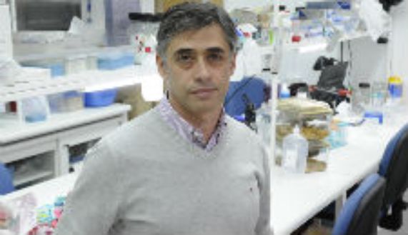 Doctor Rodrigo Naves