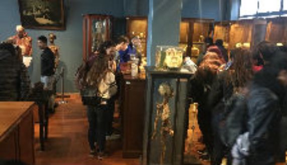 Los visitantes en el Museo de Anatomía