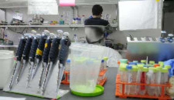 El Programa de Doctorado en Ciencias  Biomédicas abre sus postulaciones 2022