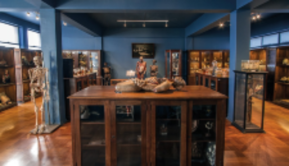 En el año 1985 el profesor Alberto Rodríguez Torres creó el Programa de Donantes de Cuerpo en la Facultad de Medicina, según el cual en forma espontánea los que así lo deseen contribuyen a la docencia