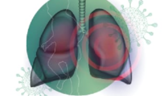 “Manual de Enfermedades Respiratorias Pediátricas”, editado por el doctor Guillermo Zepeda