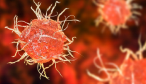 ¿Cuáles son los mecanismos moleculares que usan las células dendríticas para iniciar una respuesta inmune en respuesta al virus influenza? 