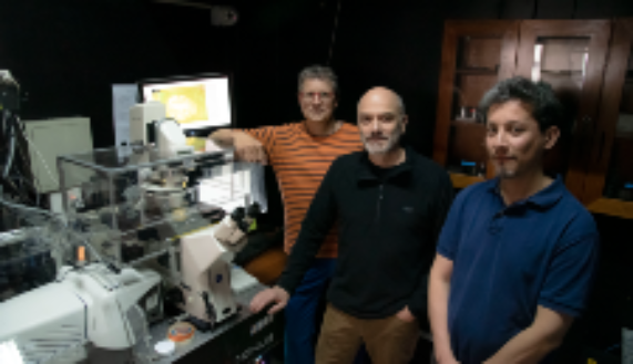 Los doctores Steffen Hartel y Miguel Concha, de la Facultad de Medicina, junto al profesor Néstor Sepúlveda, de la Universidad Adolfo Ibáñez. 