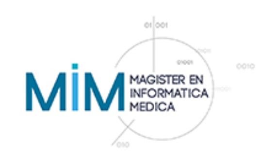 El programa de Magíster en Informática Médica fue acreditado por cinco años, lo que  permitirá hacer realidad la doble titulación con las universidades de Heidelberg y Heilbronn